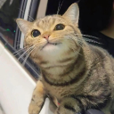 avatar Dianyaa :3 (They/Them)