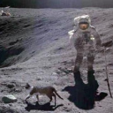 avatar Dianyaa :3 (They/Them)