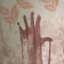 avnih8448