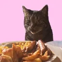 jakobacat