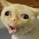 o_gato_flautista