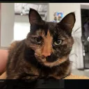 Аватар ggprogg