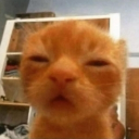 avatar Justch •ㅅ•