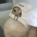 meeowtq
