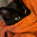 avatar 𝓗𝓲𝓷𝓪𝓴𝓸