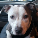user_237cgzxehok5kopf member profile picture