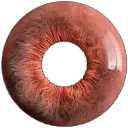 Ojo Rar