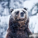 avatar .Amxify.✗𝙤