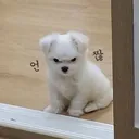 phmkhuuenngnabtang