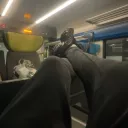 akimbo.03