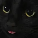 .cat_sam