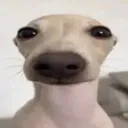 Аватар slimhuim