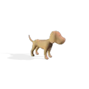 crypticdoggies