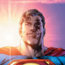 avatar Cogito ergo sum