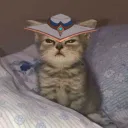 lotoskekw
