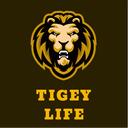 thetigeylife