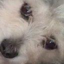 toto2200