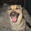 adamwanzi