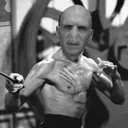 swoldemort6497