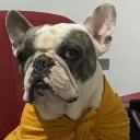 lordmiguel