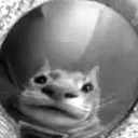 rewcat