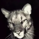 j0w4