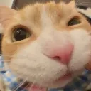 hes_airi