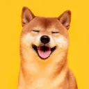 zoomieshiba5144