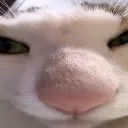 randevouserthethird