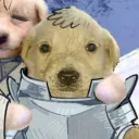 x3_33