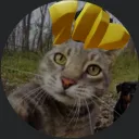 benny_ltd