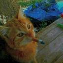 Awatar użytkownika bozy.dar