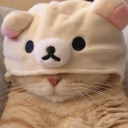 avatar 𝕺𝖐𝖎𝖊 𝖉𝖔𝖐𝖎𝖊 ♡⃝