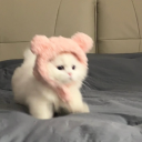 avatar ꜱɪᴍɪʟᴀʀ ꜱᴋʏ