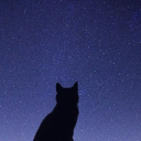 avatar ꜱɪᴍɪʟᴀʀ ꜱᴋʏ