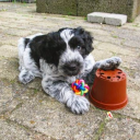 [34695] 22-08 | Frederik Woo