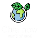 chianow0866
