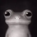 beetlecaboose
