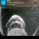 nmhad