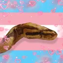 nico._.1772