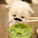 avatar cath matcha
