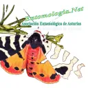 entomologiaasturias