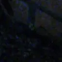 camiloholawenascomoestan avatar