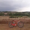 joao_rigatti