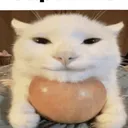 szczurek3best