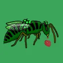 uranium.wasp