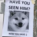9.46
