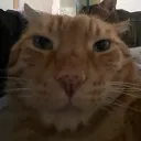 oumvb