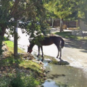 avatar Rafa Salamanco