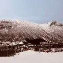 mattisnorwegian